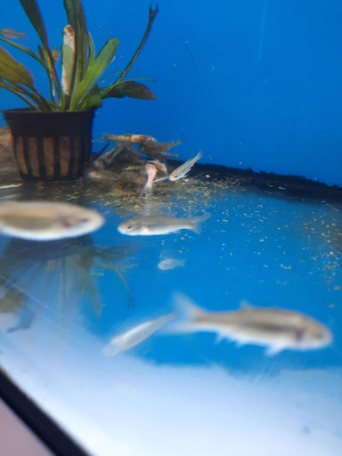 Pet Supply Store «Petco Animal Supplies», reviews and photos, 3731 Gateway Dr, Eau Claire, WI 54701, USA