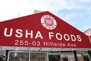 Usha Foods image