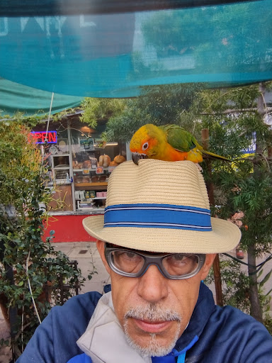 Pet Supply Store «Pet Care Inc.», reviews and photos, 2500 East Cesar E Chavez Avenue, Los Angeles, CA 90033, USA