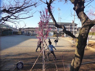 板橋区立成増うめの里公園