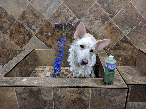 Pet Store «Pet Valu», reviews and photos, 190 Forty Foot Rd, Hatfield, PA 19440, USA