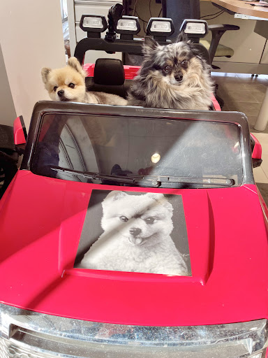 Car Dealer «Vanderstyne Toyota», reviews and photos, 4374 W Ridge Rd, Rochester, NY 14626, USA