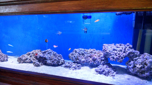 Aquarium «Coral Sea Aquariums», reviews and photos, 1373 N Military Trl, West Palm Beach, FL 33409, USA