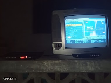 Service Eletronik