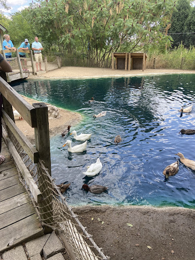 Zoo «Cosley Zoo», reviews and photos, 1356 N Gary Ave, Wheaton, IL 60187, USA