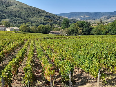 Brun Jean-Paul à Charnay