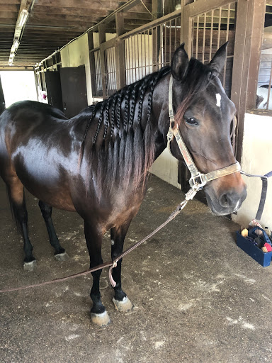 South Miami Riding Club