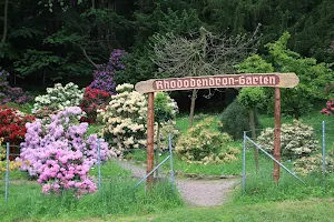 Rhododendron-Garten Bad Tabarz image