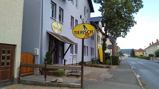 Dirk Reichel unter Rudolstadt, 
