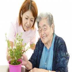 Divine Fijians Home Care image