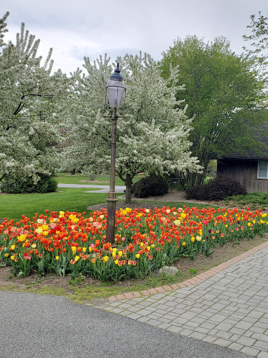 Dog Park «Thomas Bull Memorial Park», reviews and photos, 211 New York 416, Montgomery, NY 12549, USA