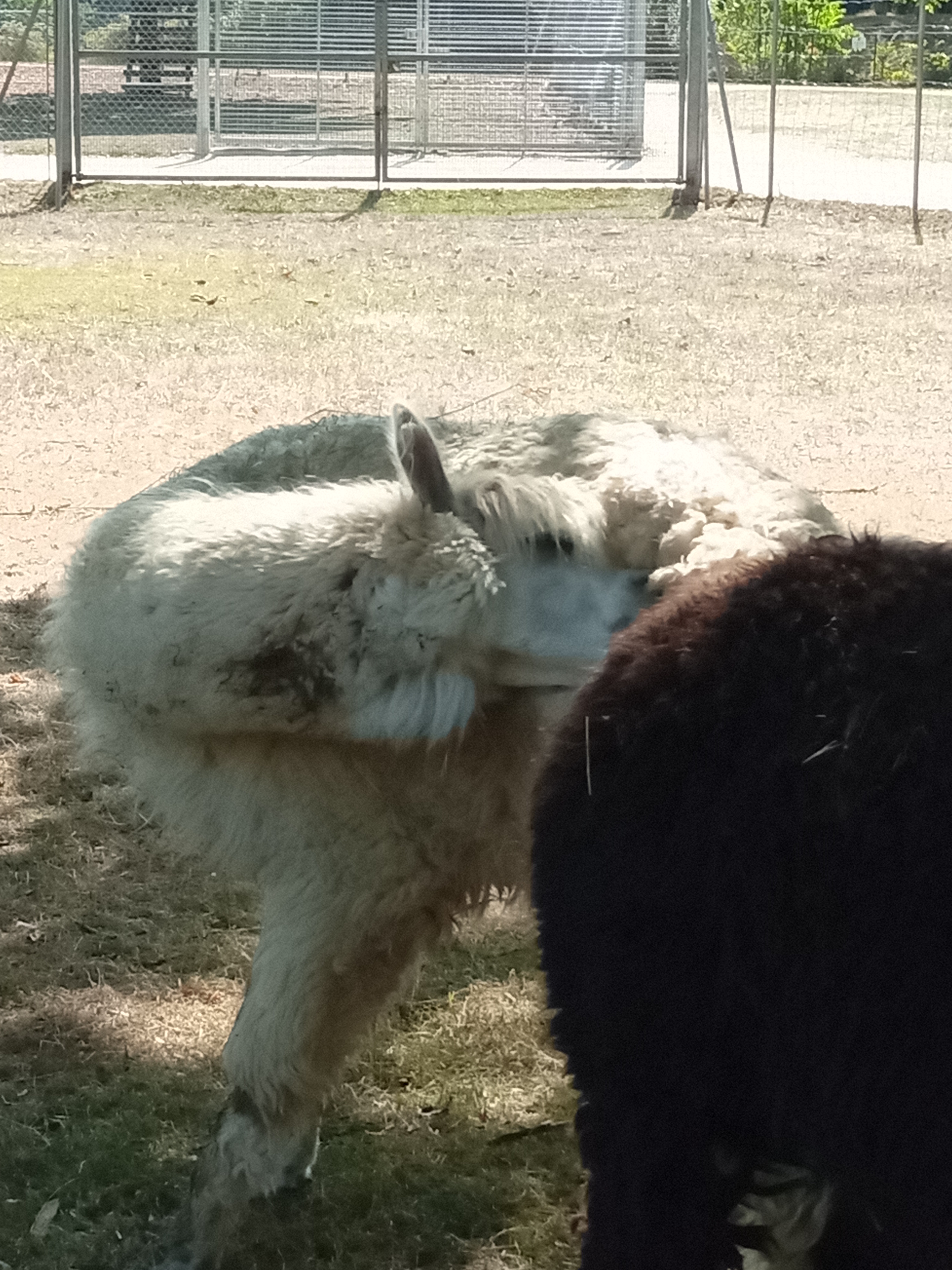 Photo n° 11 de l'avis de Sabrina. fait le 21/09/2020 à 16:35