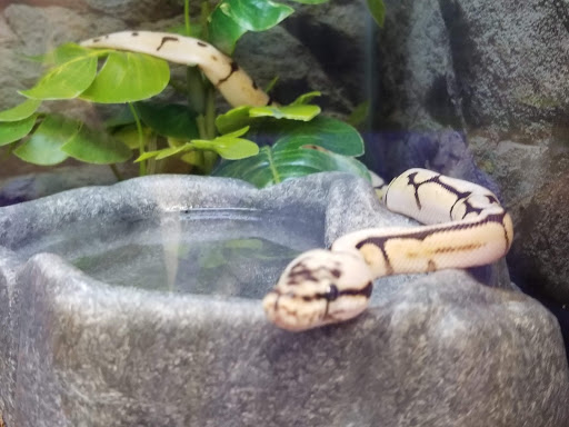 Pet Supply Store «Petco Animal Supplies», reviews and photos, 6137 Mid Rivers Mall Dr, St Charles, MO 63304, USA