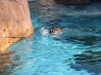 Seal and Sea Lion Exhibit