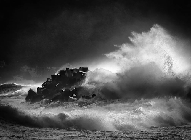 Comments and reviews of Wellington Photographic Society