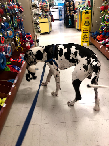 Pet Supply Store «PetSmart», reviews and photos, 12142 Jefferson Ave, Newport News, VA 23602, USA