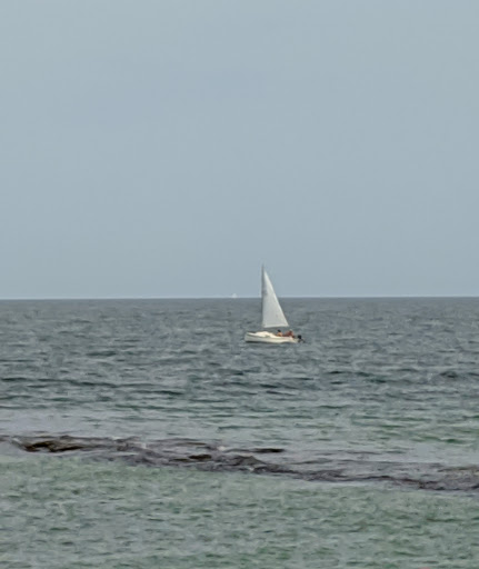 Clothing Store «Vineyard Vines», reviews and photos, 56 Narragansett Ave, Oak Bluffs, MA 02557, USA
