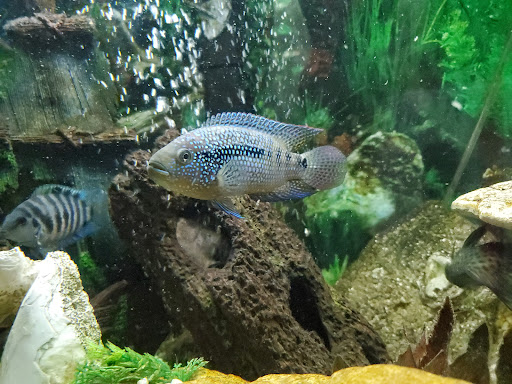 Pet Store «Pet Zone», reviews and photos, 1620 Marion-Mt Gilead Rd, Marion, OH 43302, USA