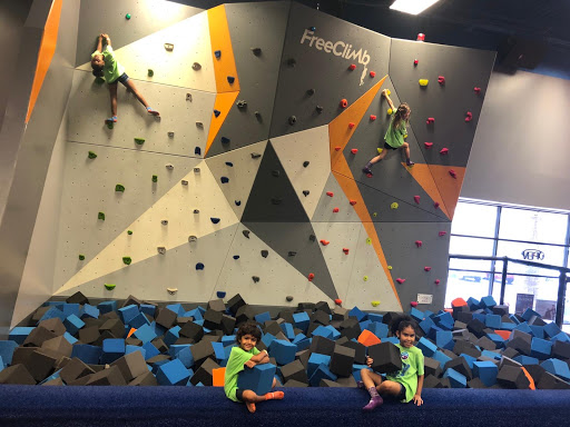 Climbing lessons Tampa