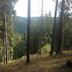 Photo n°4 de l'avis de G. fait le 10/09/2018 à 15:29 sur le  Hanskühnenburg à Bad Grund