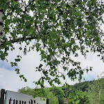 Photo n°1 de l'avis de Andrea.. fait le 13/05/2022 à 20:59 sur le  Restaurant Tum Bur à Hattingen