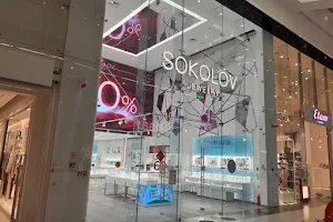 SOKOLOV image