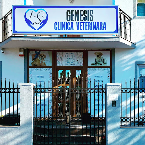 Genesis Clinica Veterinara - <nil>