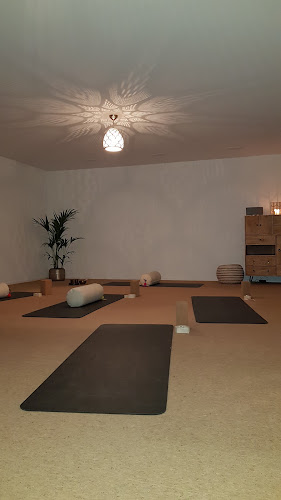 Laveda Yoga Nicole Hodel - Yoga-Studio