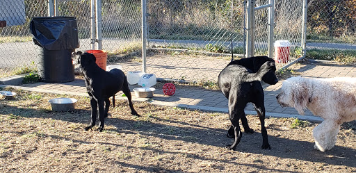 Dog Park «Worthington Off Leash Dog Park», reviews and photos, 8170 Hillsborough Rd, Ellicott City, MD 21043, USA
