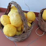 Photo n°27 de l'avis de Saro.u fait le 29/05/2021 à 13:54 sur le  Pa.Pe.Ro' al Glicine à Leni