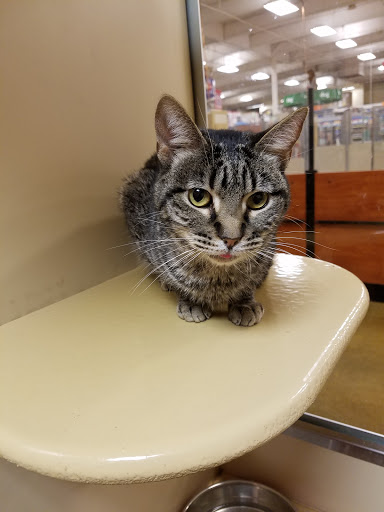 Pet Supply Store «PetSmart», reviews and photos, 2828 Campus Pkwy, Riverside, CA 92507, USA