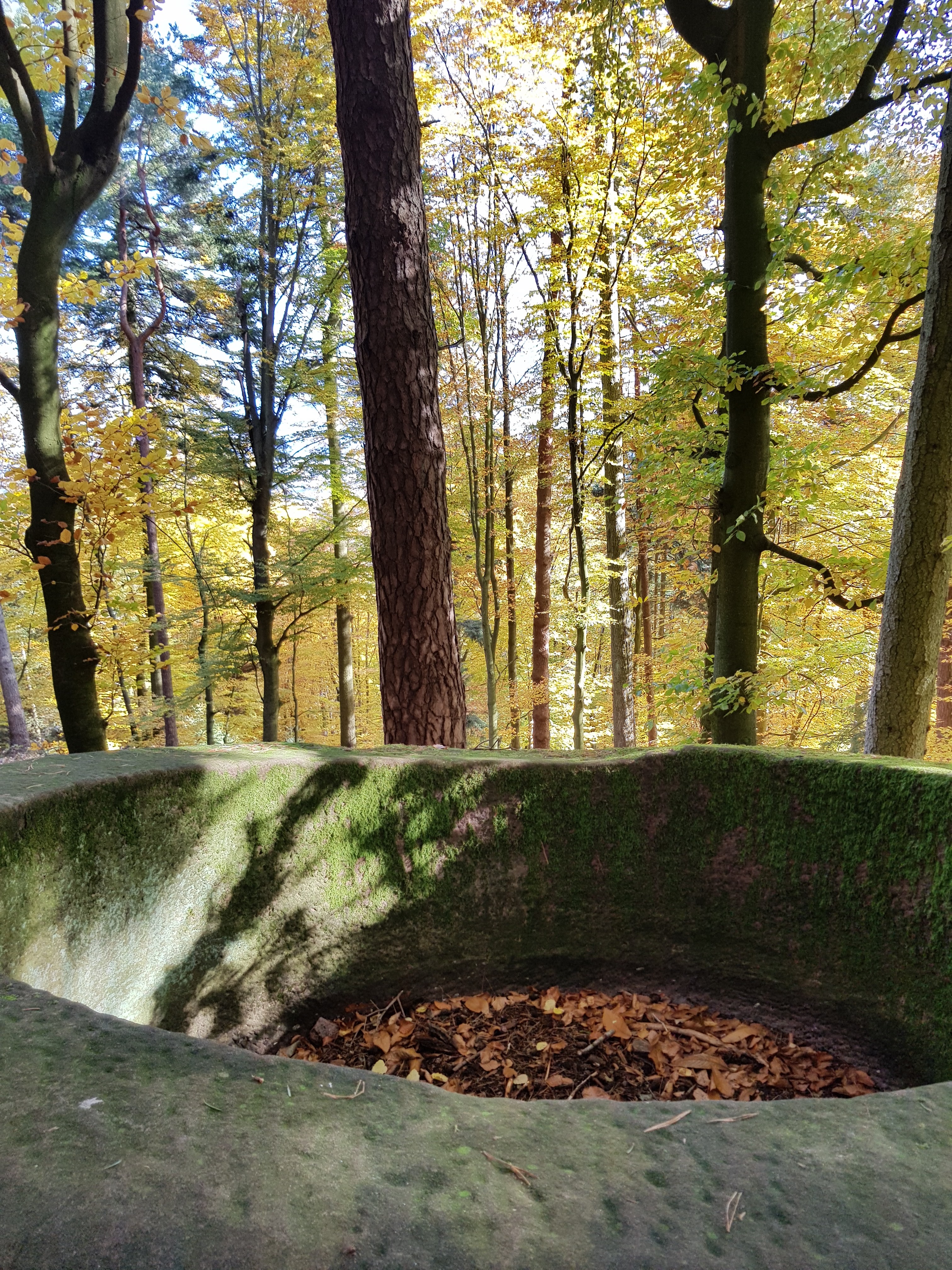 Photo n° 12 de l'avis de Roland.c fait le 09/11/2019 à 18:18