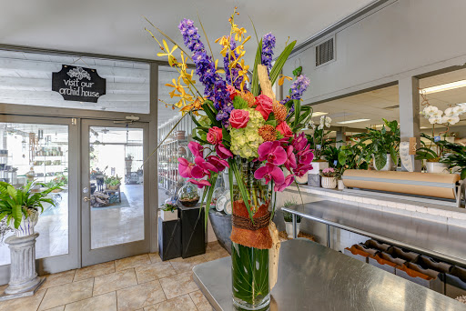 Florist «Dr Delphinium Flower & Orchid House», reviews and photos, 513 W Campbell Rd, Richardson, TX 75080, USA