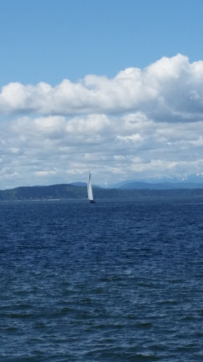 Museum «The Museum of Flight», reviews and photos, 9404 E Marginal Way S, Seattle, WA 98108, USA