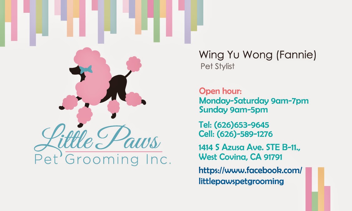LITTLE PAWS PET GROOMING