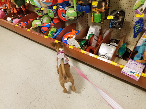 Pet Supply Store «PetSmart», reviews and photos, 2477 Naglee Rd, Tracy, CA 95304, USA