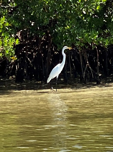 Boat Tour Agency «Good Time Charters», reviews and photos, 4765 Estero Blvd, Fort Myers Beach, FL 33931, USA