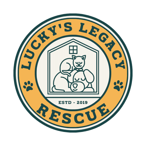 Lucky's Legacy