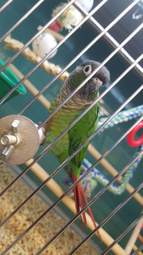 Pet Supply Store «Pet Supplies Plus», reviews and photos, 2155 Delaware Ave, Buffalo, NY 14216, USA