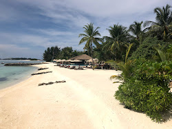 Falhumaafushi Resort Beach'in fotoğrafı geniş bir kıyı şeridi ile birlikte