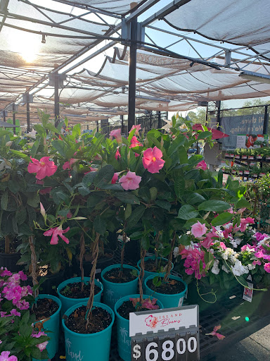 Department Store «Walmart Supercenter», reviews and photos, 350 Robert Smalls Pkwy, Beaufort, SC 29906, USA