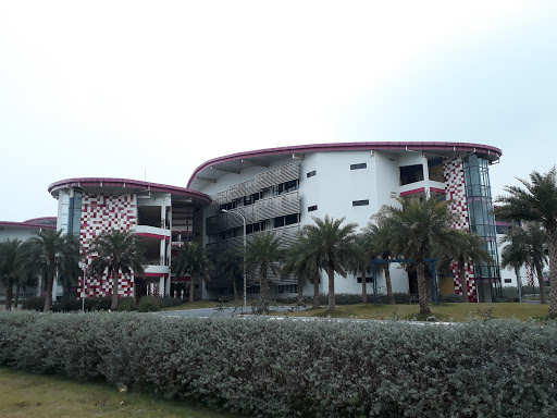 TH School Hòa Lạc