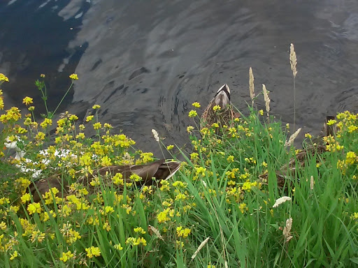 Coffee Shop «Spirit Espresso LLC», reviews and photos, 1710 SE Geary St, Albany, OR 97322, USA