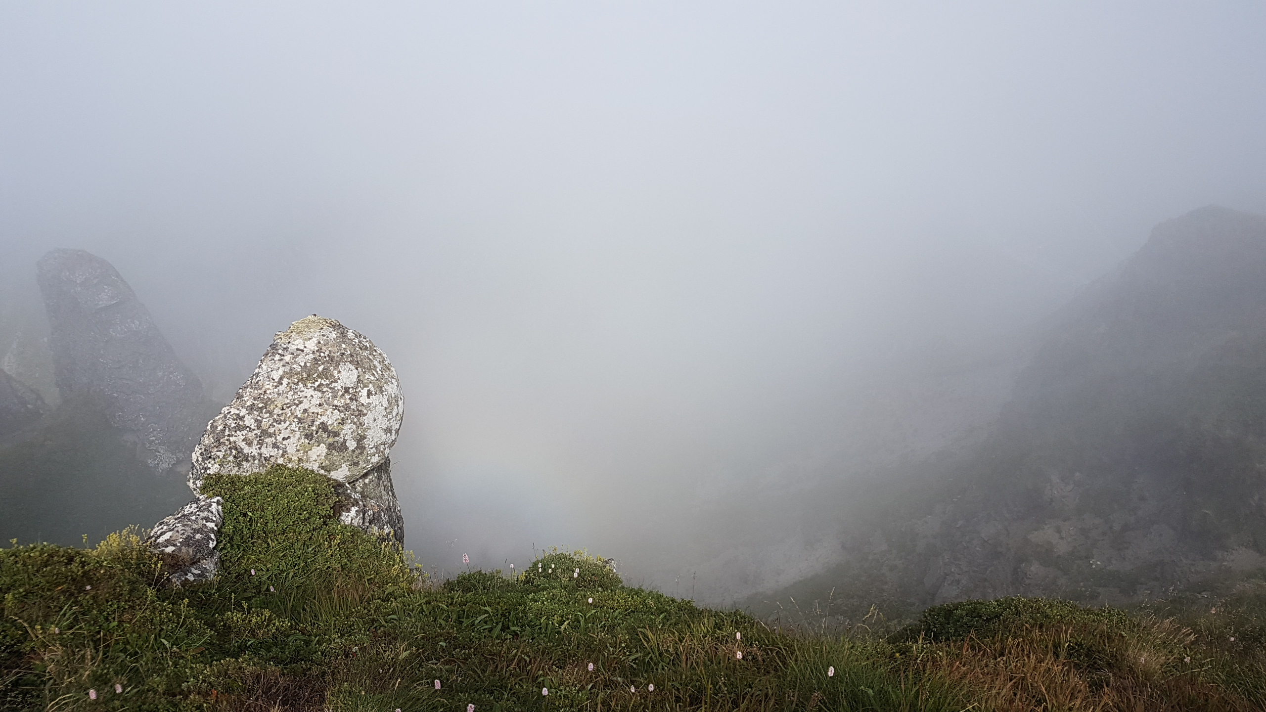 Photo n° 26 de l'avis de Catherine.R fait le 09/08/2019 à 17:54