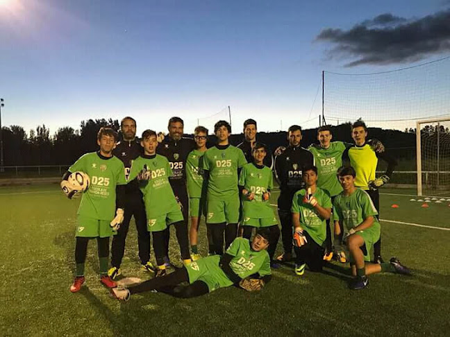 Campo Municipal da Várzea - CD "Os Pelezinhos " - Campo de futebol