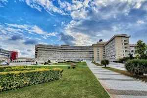 Ospedale "Vito Fazzi" image
