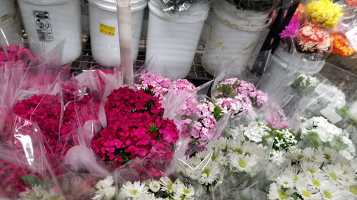 Florist «Wholesale Flowers and Supplies», reviews and photos, 5305 Metro St, San Diego, CA 92110, USA