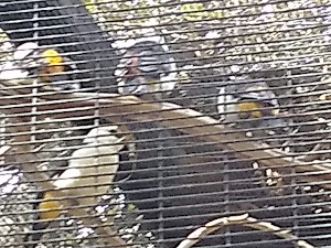 The Living Desert - photo 73