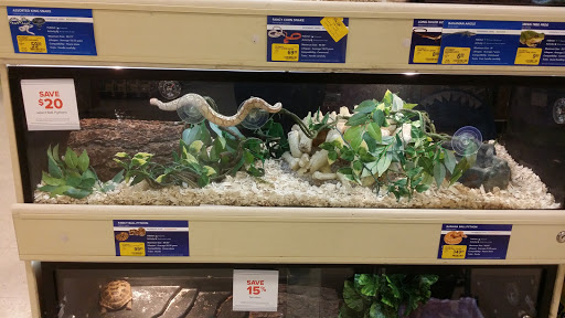 Pet Supply Store «PetSmart», reviews and photos, 250 Grossman Dr, Braintree, MA 02184, USA