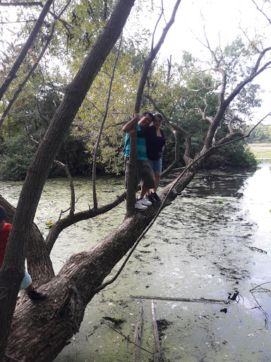 Nature Preserve «Maplewood Nature Center», reviews and photos, 2659 E 7th St, St Paul, MN 55119, USA